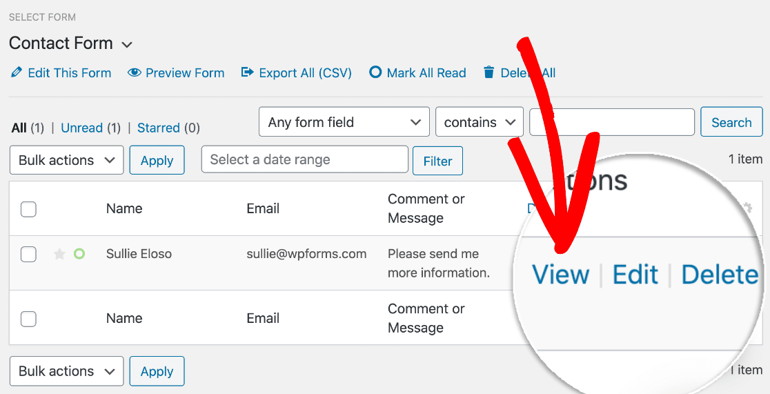 View WordPress form entry