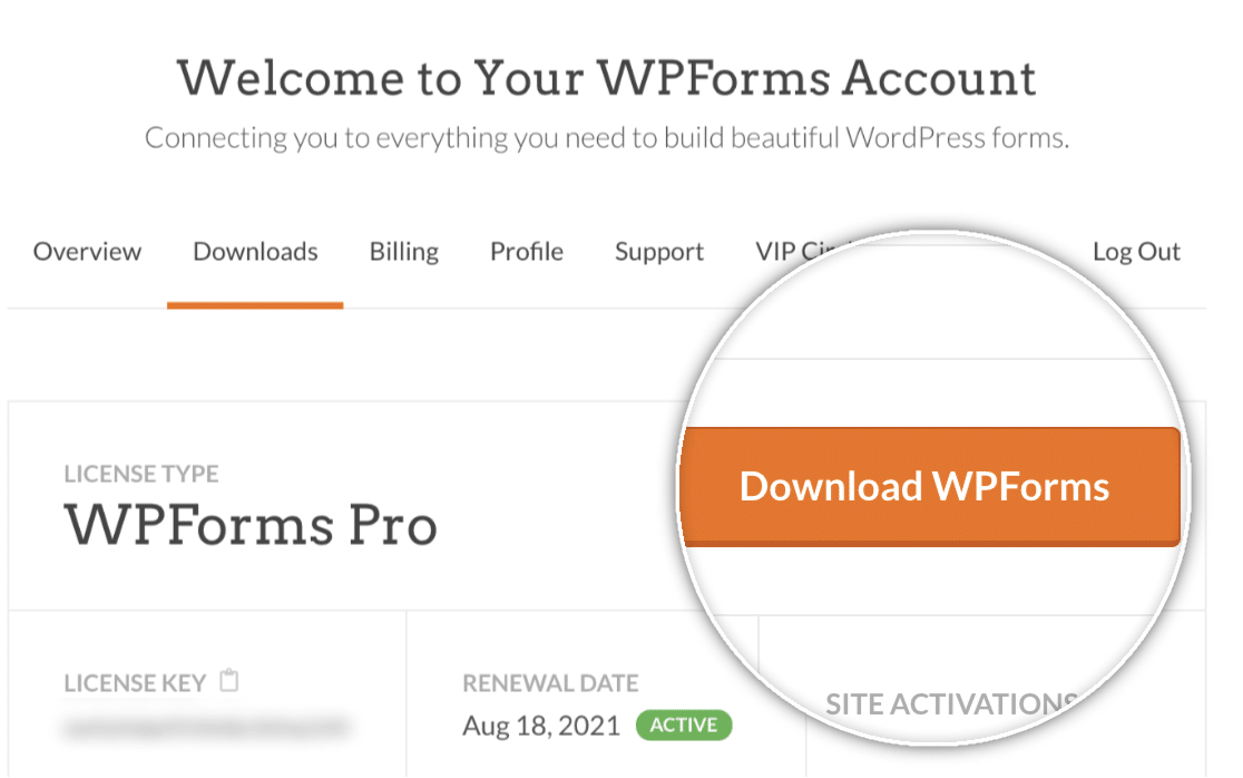 Download WPForms button