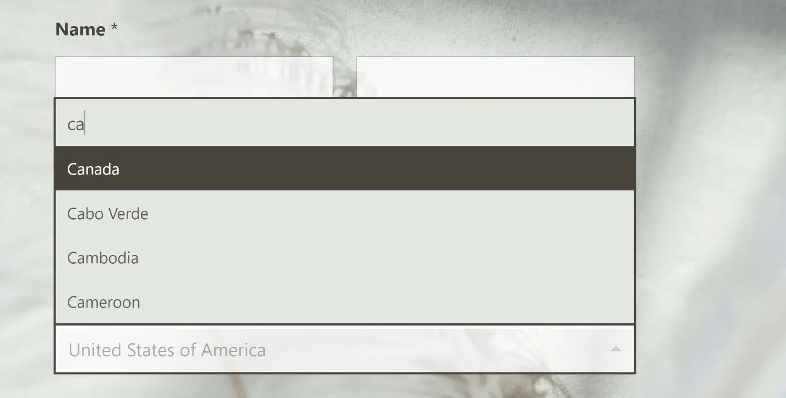 Modern dropdown style