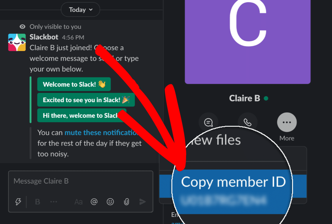 Check the Member ID in Slack