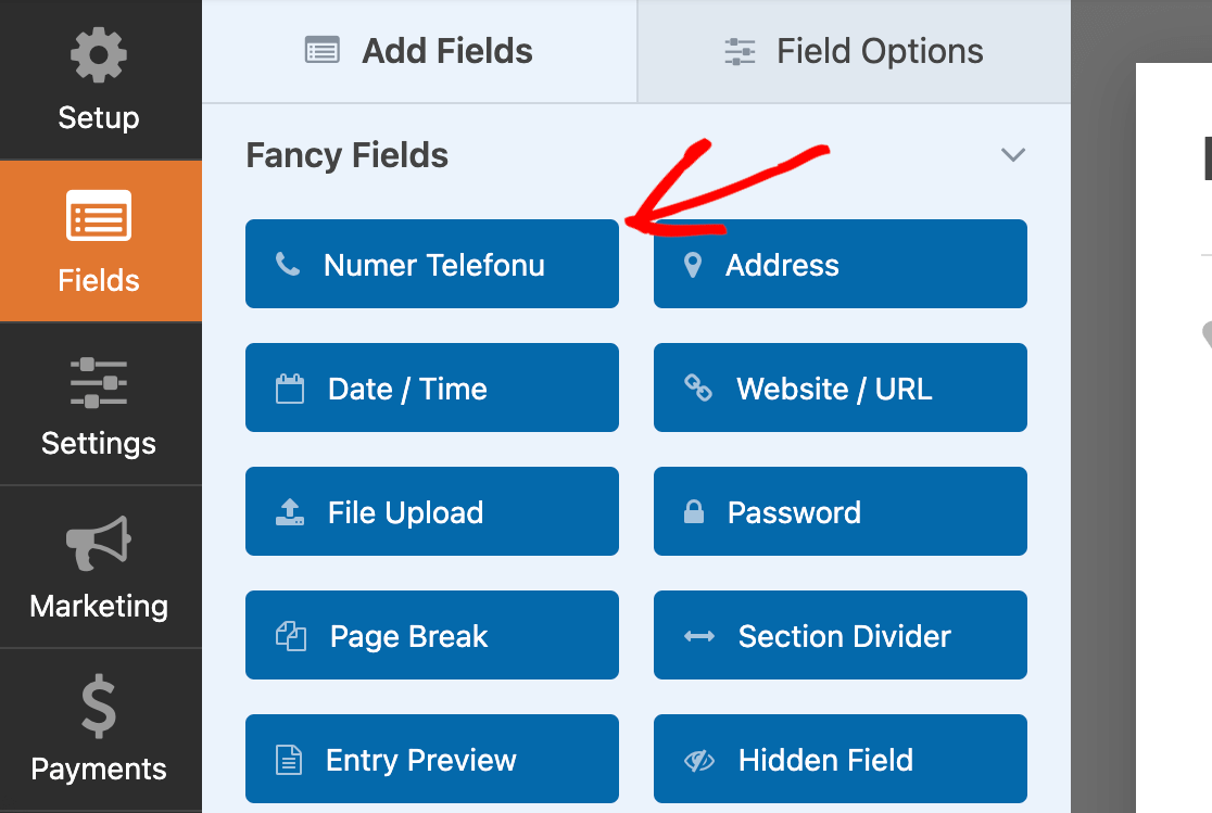 The Phone field in the WPForms form builder translated into Polish using Loco Translate