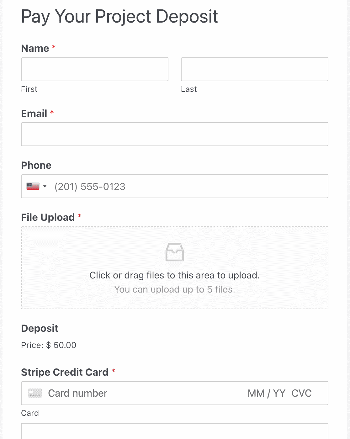 A File Upload form with required payment fields