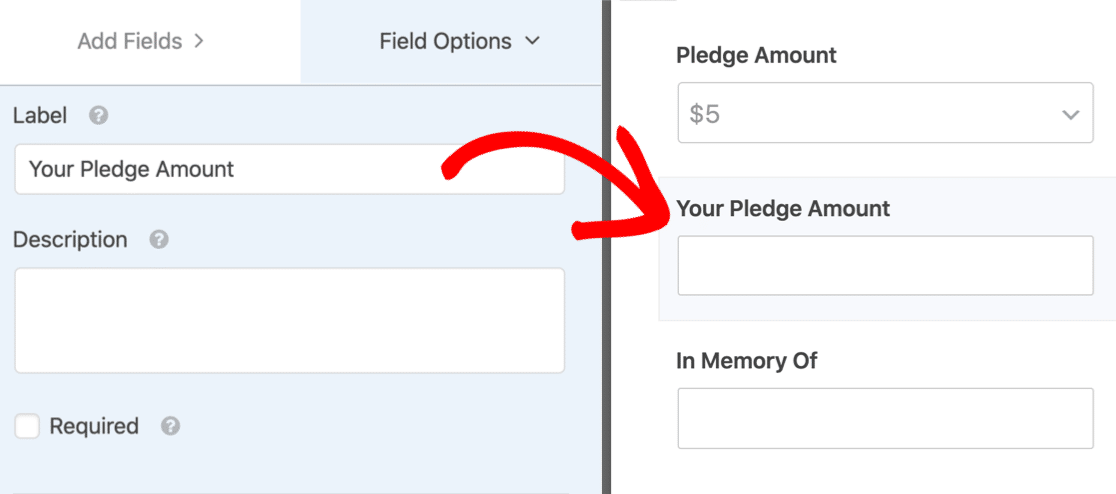 Field for custom pledge amount