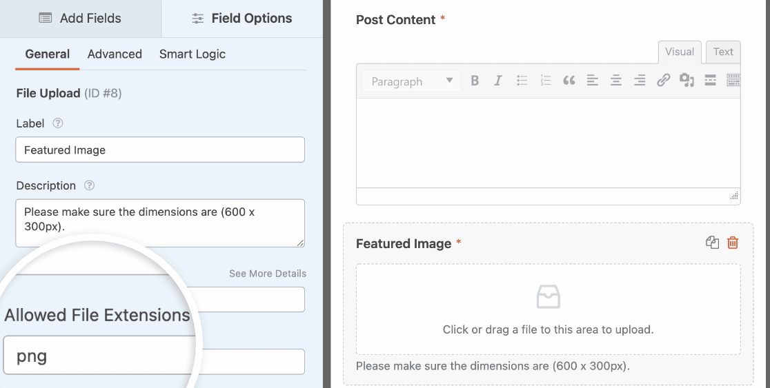 File Upload field allowed file extensions