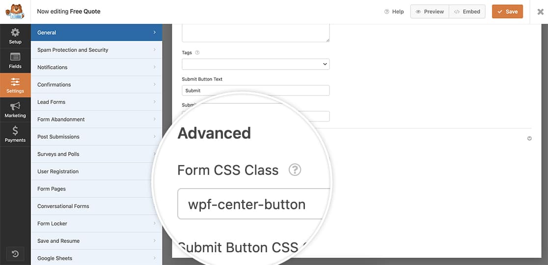 add the class name to the Form CSS Class in the form builder