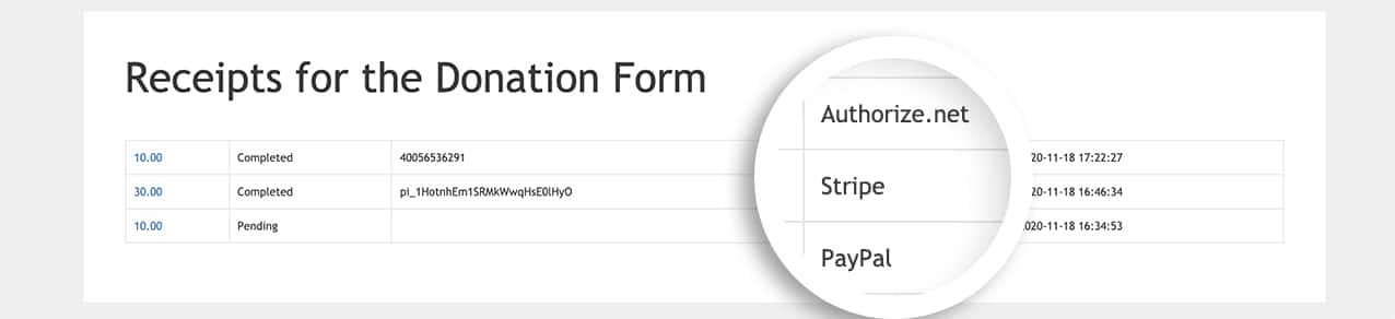 Now you'll see a table of all your payment transaction details from a specific form.