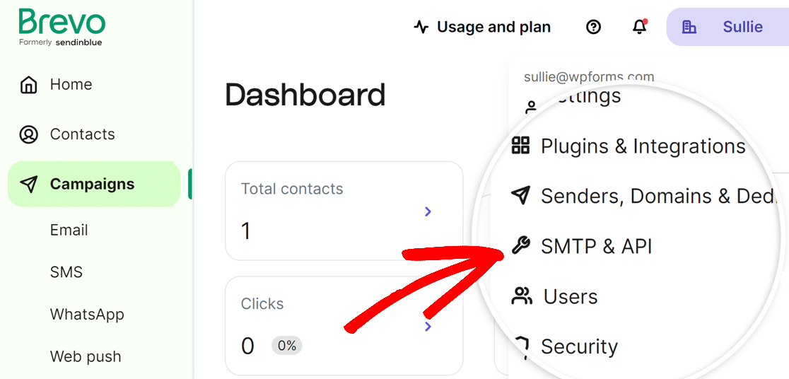 API option in Brevo