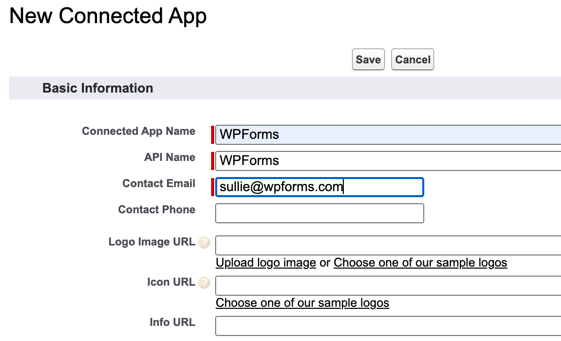 Filling out basic information for a new Salesforce app