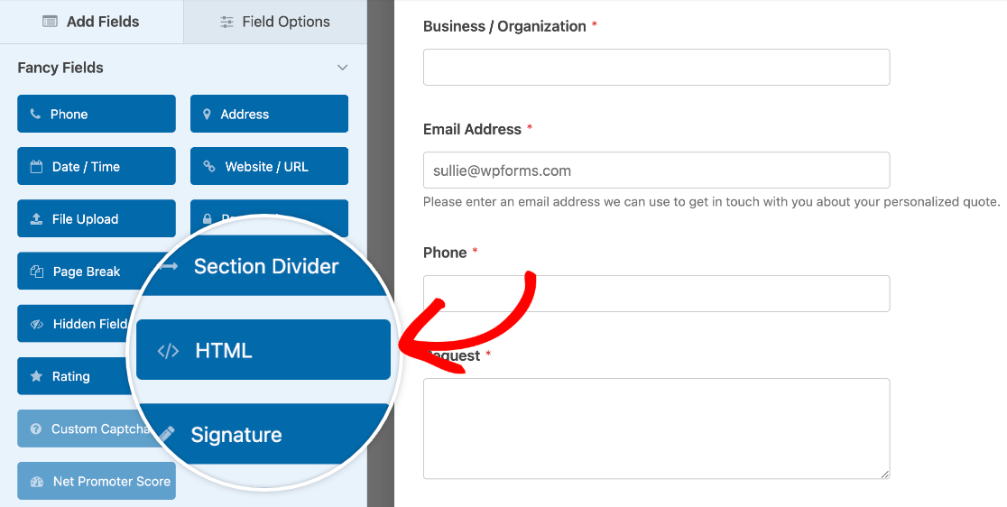 Adding an HTML field to a form