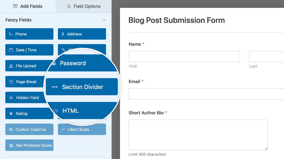 Adding a Section Divider field to a form