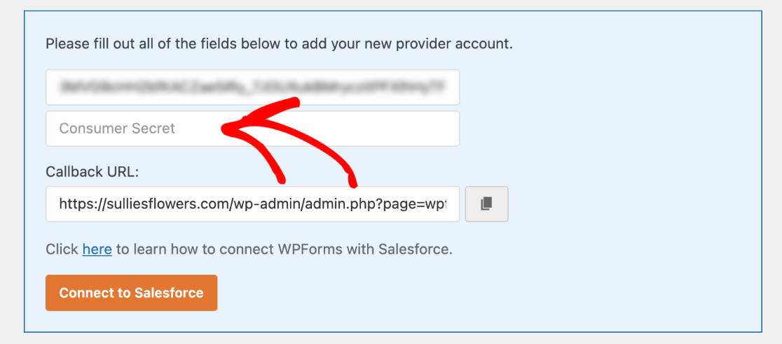 Adding the Salesforce Consumer Secret to the WPForms settings
