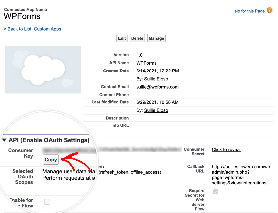 Copying your Consumer Key in Salesforce