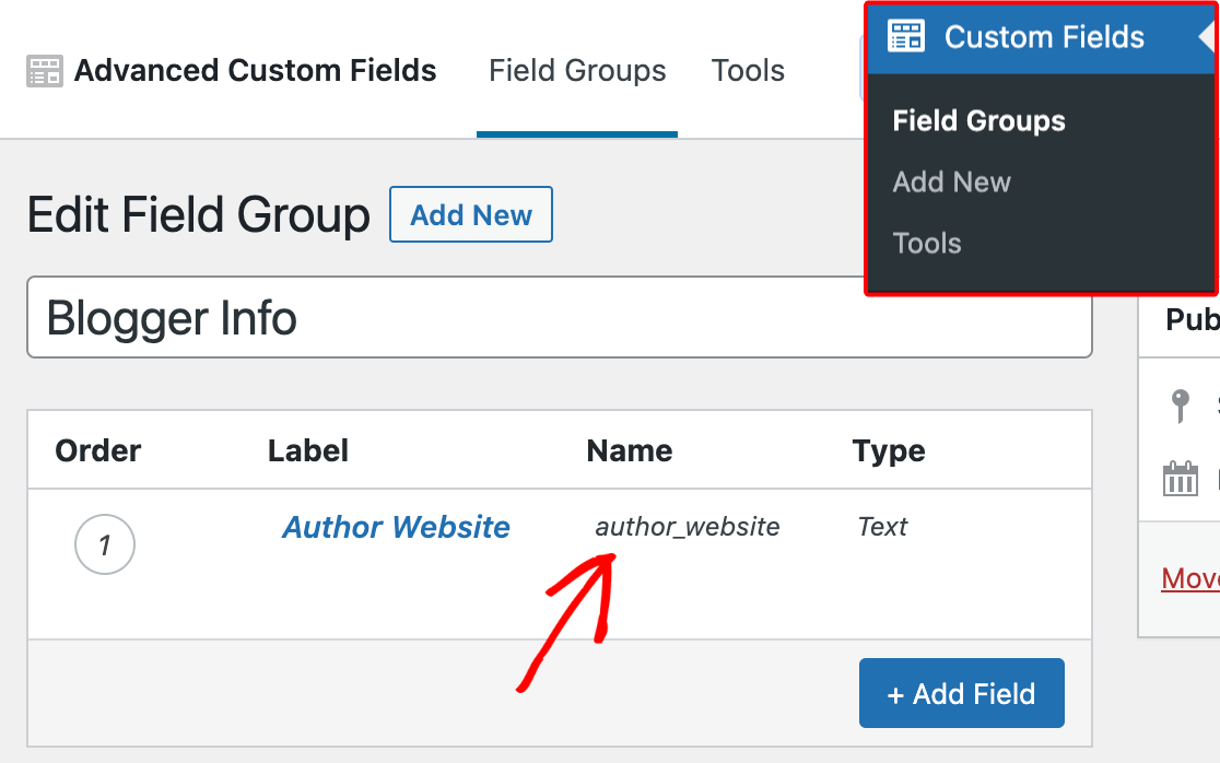 Locating the meta key for a custom field