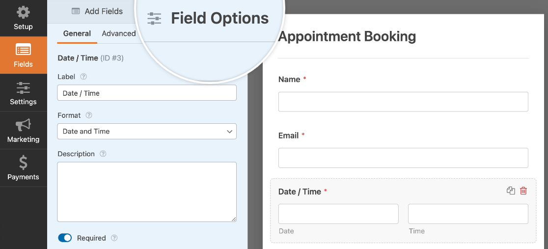 The Date / Time field options