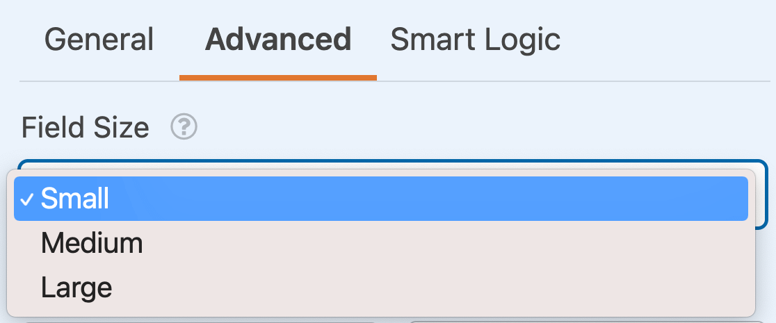 Choosing the field size for a Date / Time field