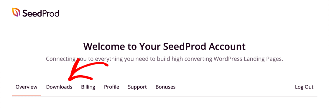 Download SeedProd plugin