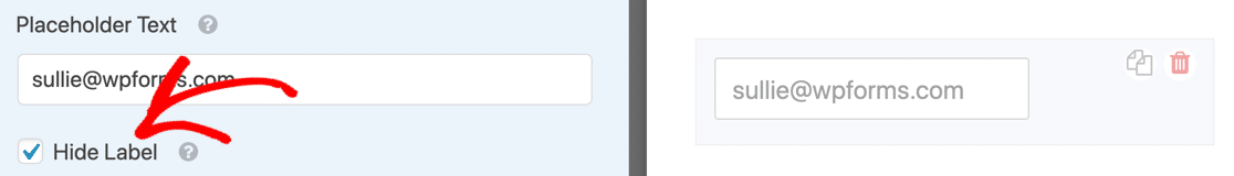 Hide the field label with placeholder text