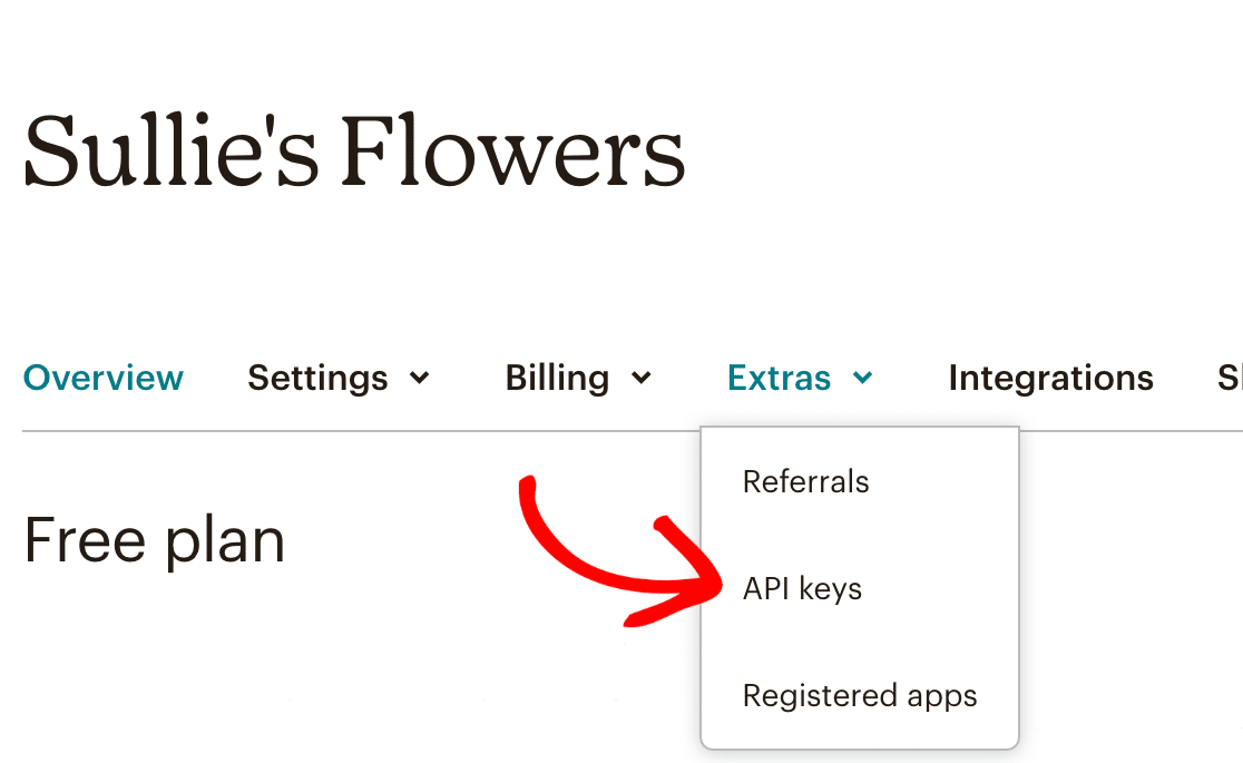 Opening the API Keys page in Mailchimp