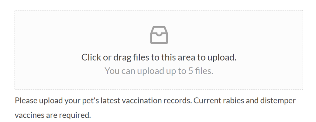 A Complete Guide to the WPForms File Upload Field