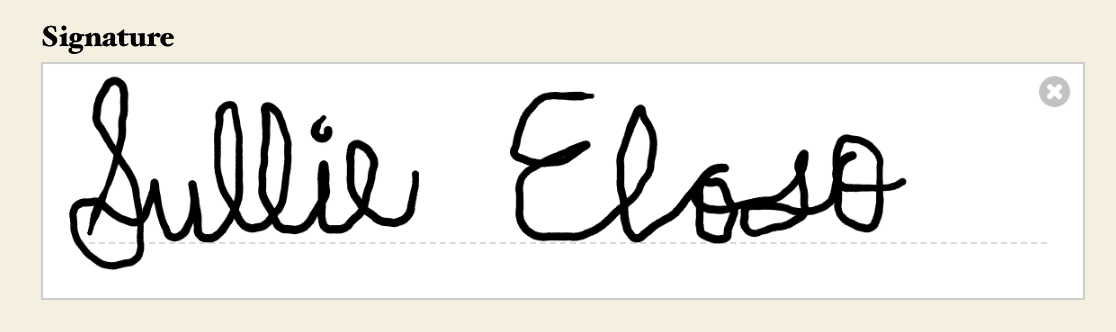 An example of the Signature field on the frontend