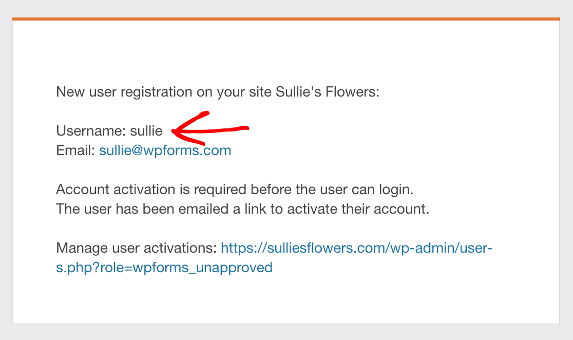 A username inserted into an email using the {user_registration_login} Smart Tag