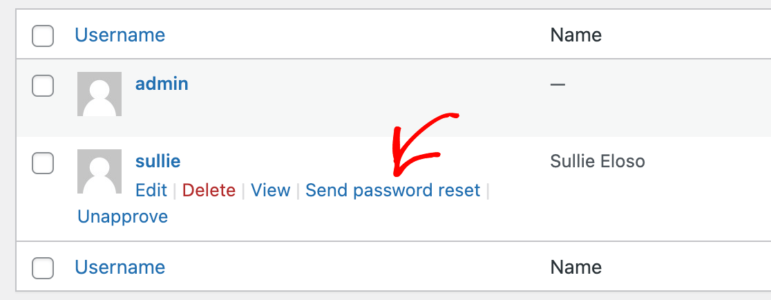 Manually sending a password reset link