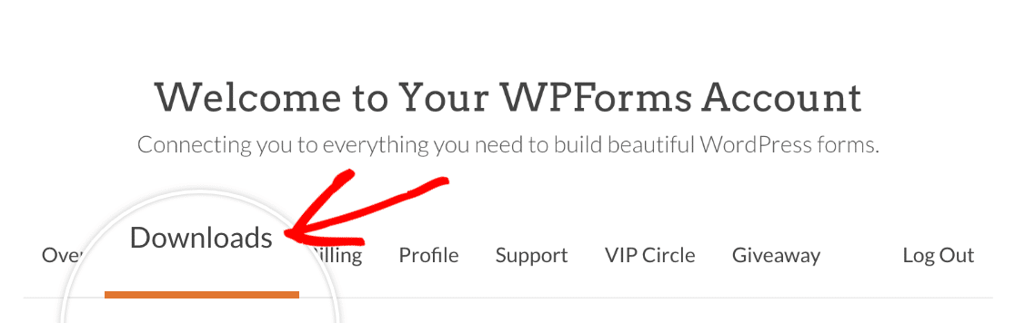 Opening the Downloads page in your WPForms account