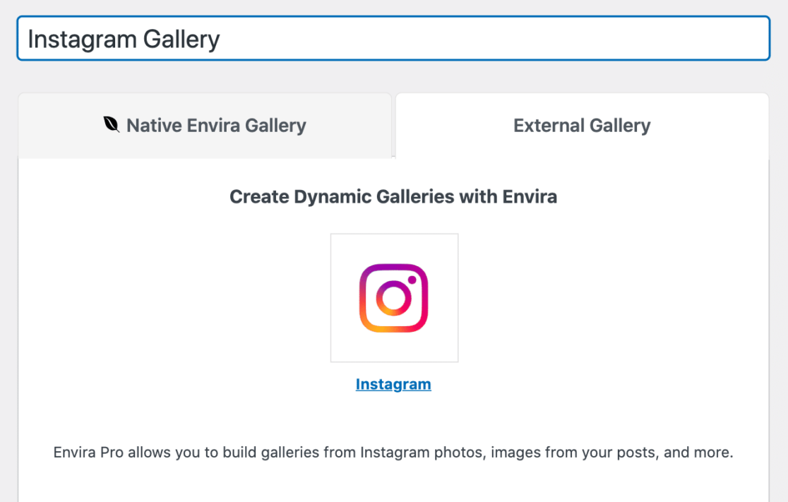 Envira Instagram addon