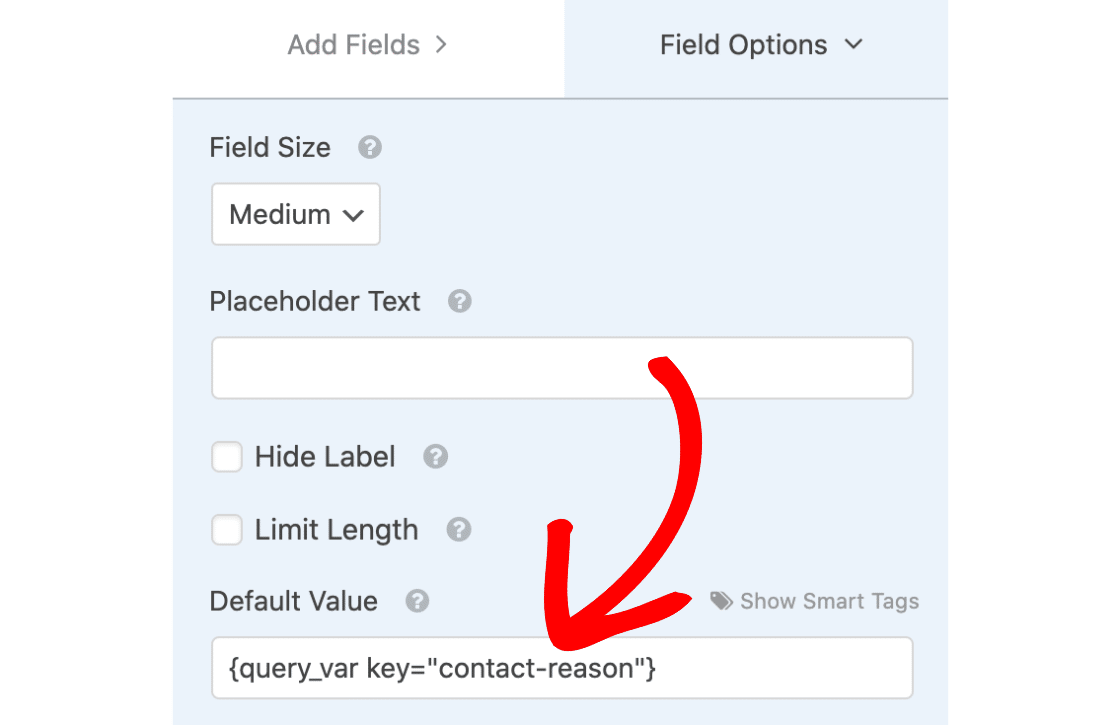 How to Use Query Strings to Auto-Fill a Text Field in WPForms