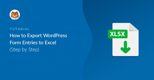 how-to-convert-wordpress-form-entries-to-excel_b