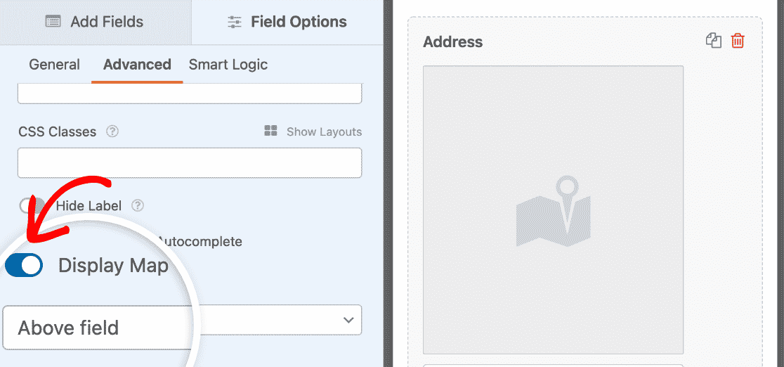 Displaying a map in a Single Line Text Field