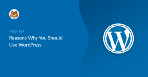 11 Reasons Why You Should Use WordPress In 2024