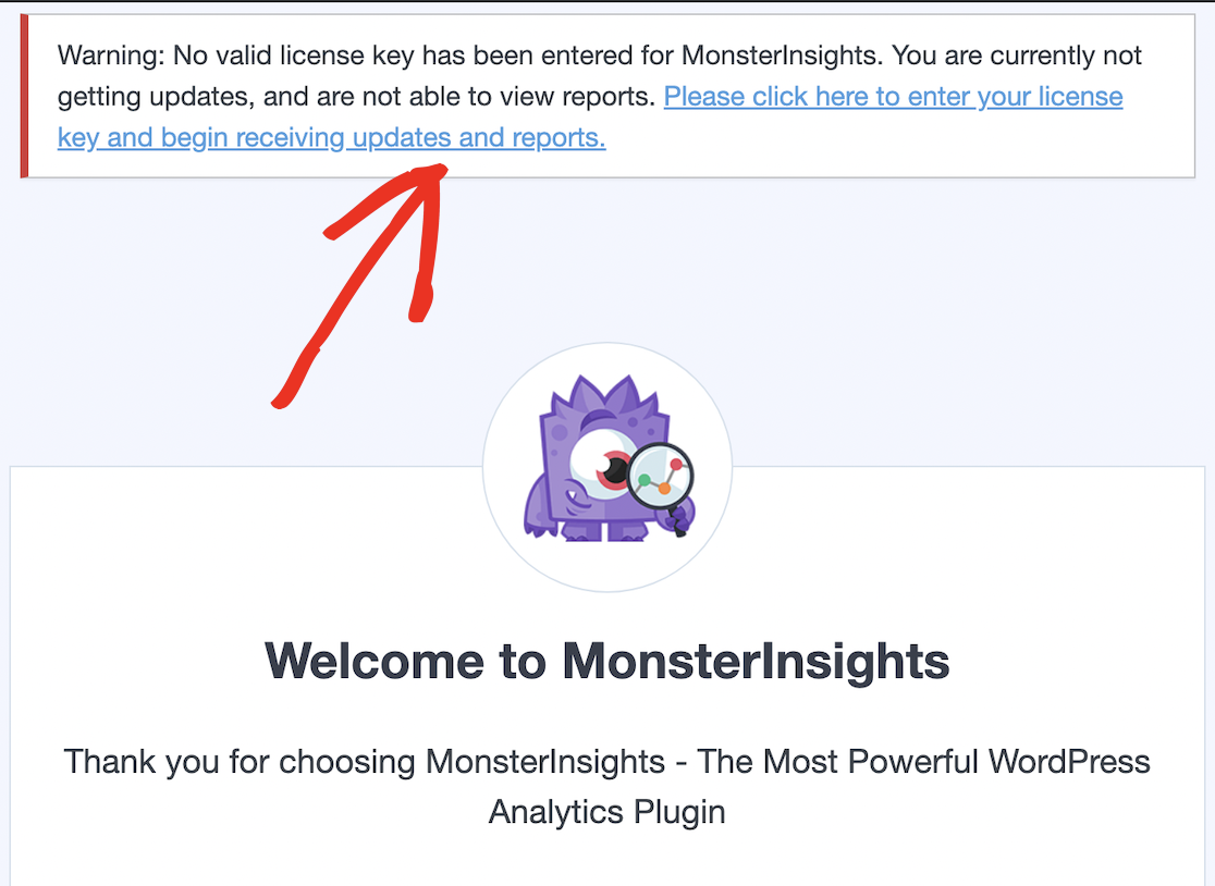 MonsterInsights welcome screen with license key message