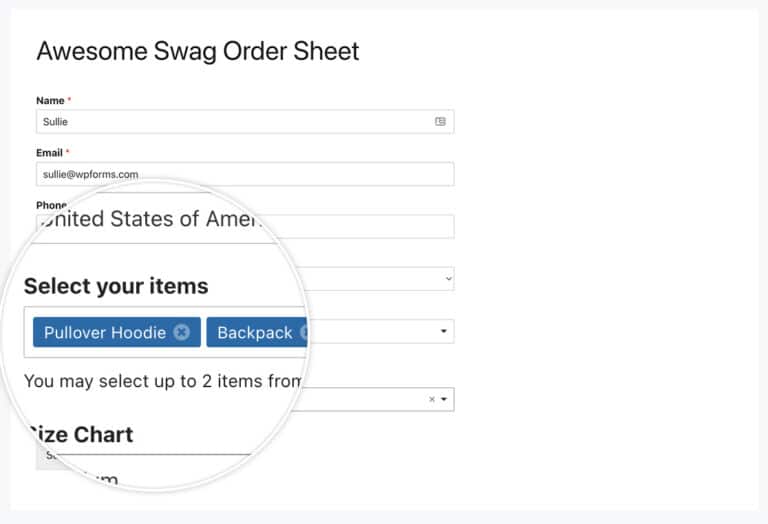 How To Customize the Modern Dropdown Field
