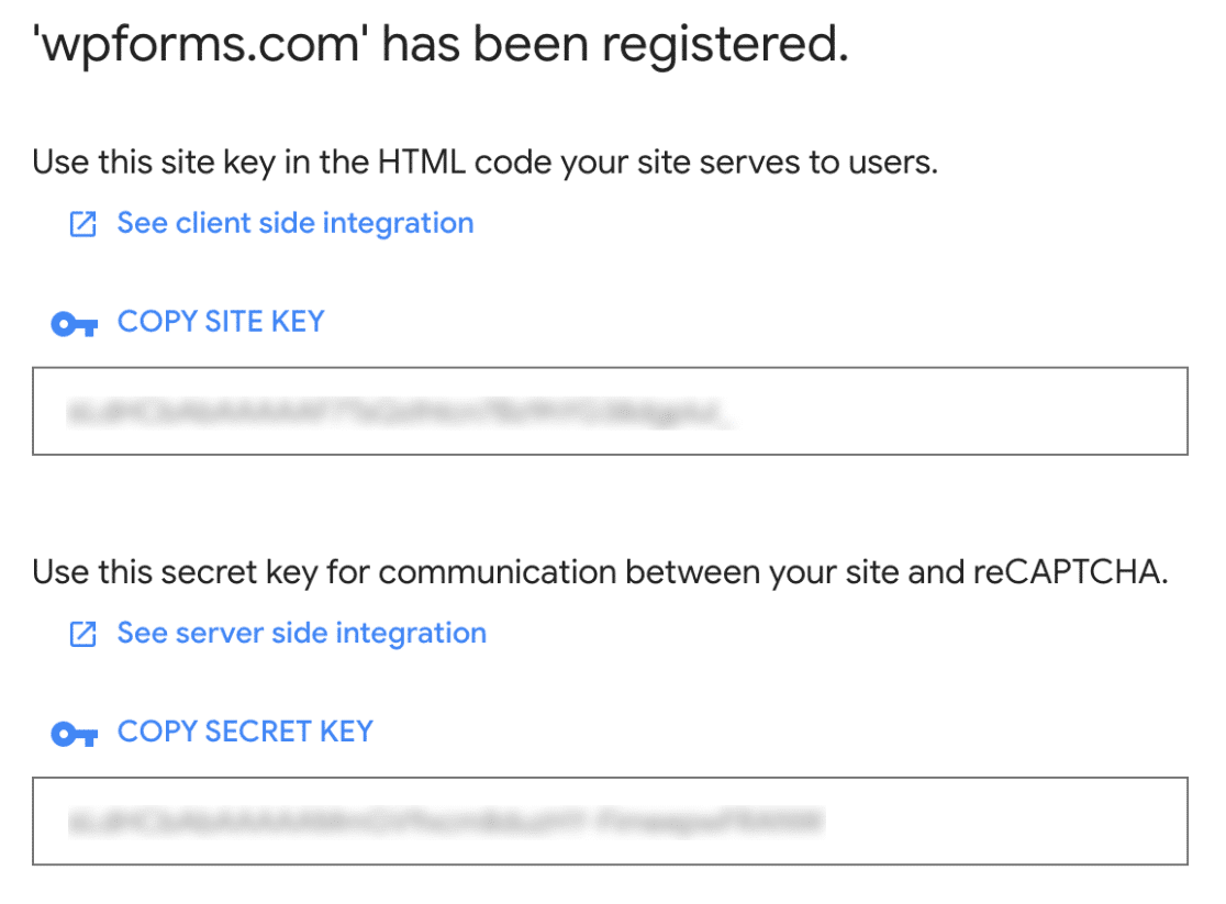 Copy reCAPTCHA keys