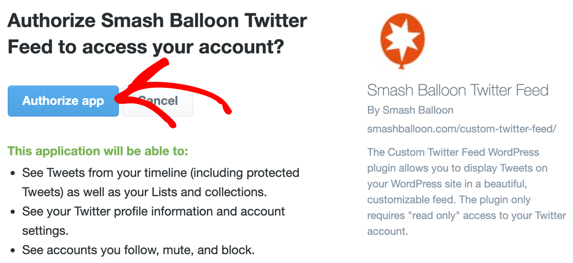 Authorize Smash Balloon