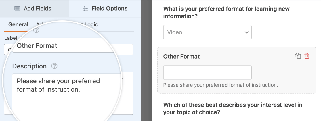 Customizing the "Other" input field label and description