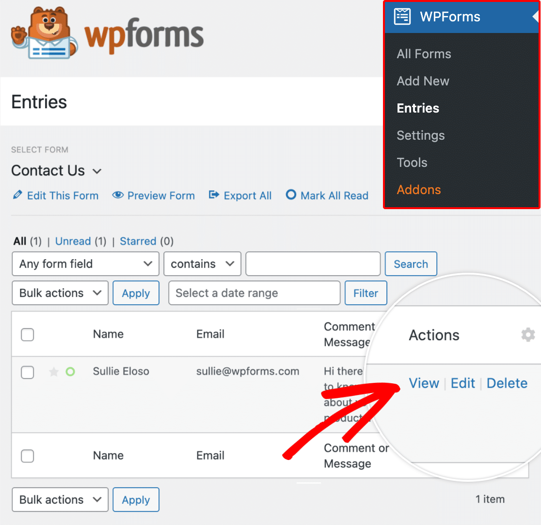 View-individual-entry-page-in-WPForms