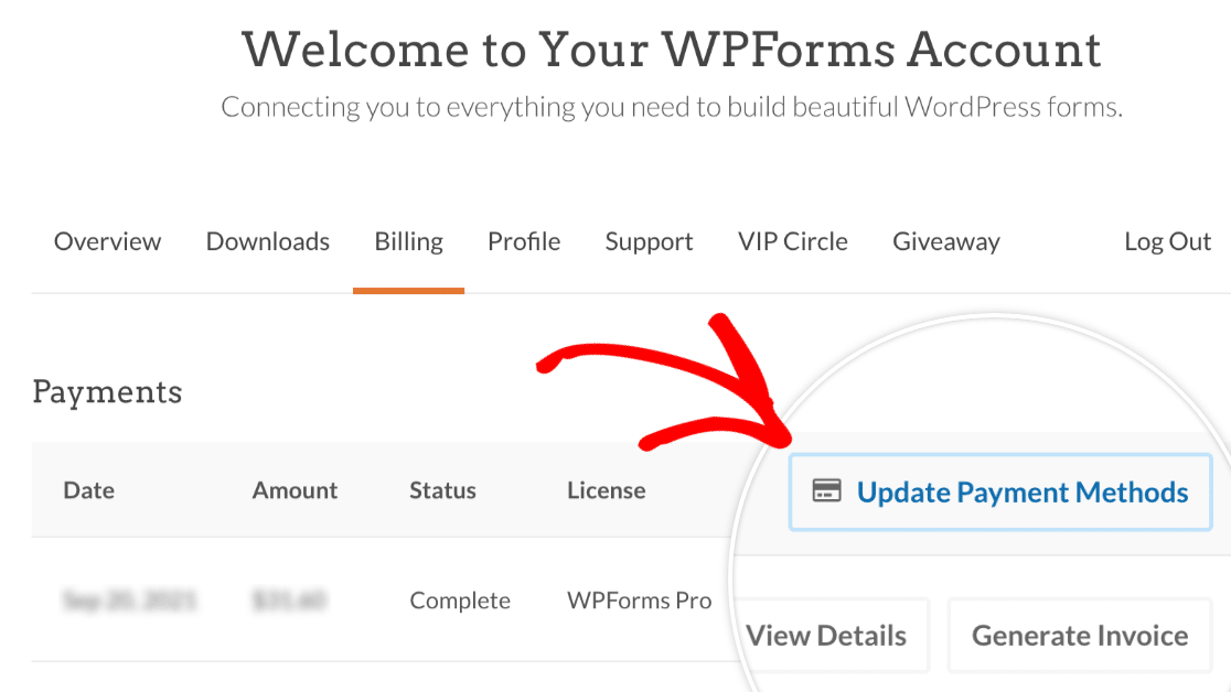 Payment options on WPForms checkout page