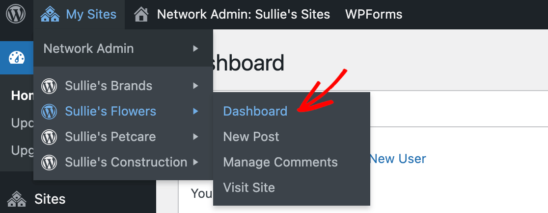 Accessing the dashboard for a subsite in a multisite network