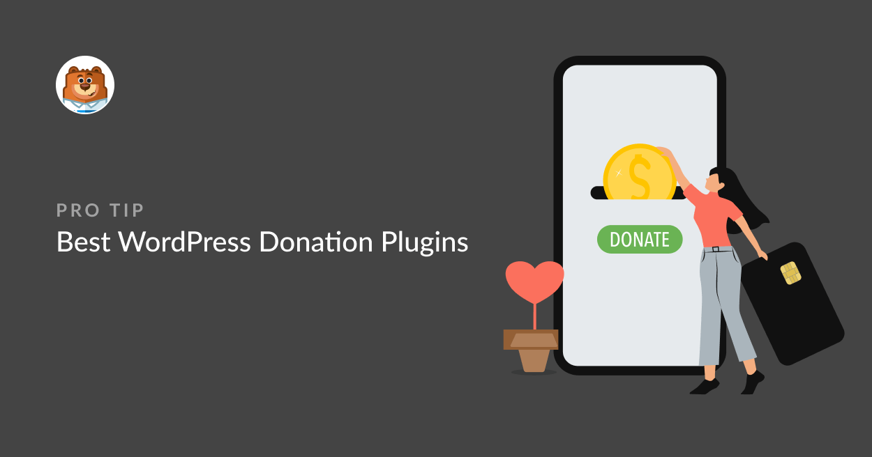 9 Best Free WordPress Plugins For Donations for 2023 - Colorlib