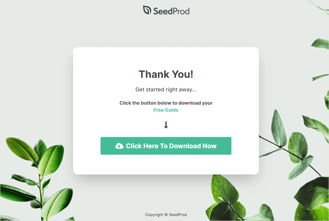 thank you page example in seedprod 