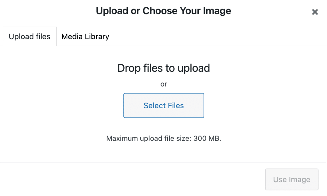 WordPress media library upload