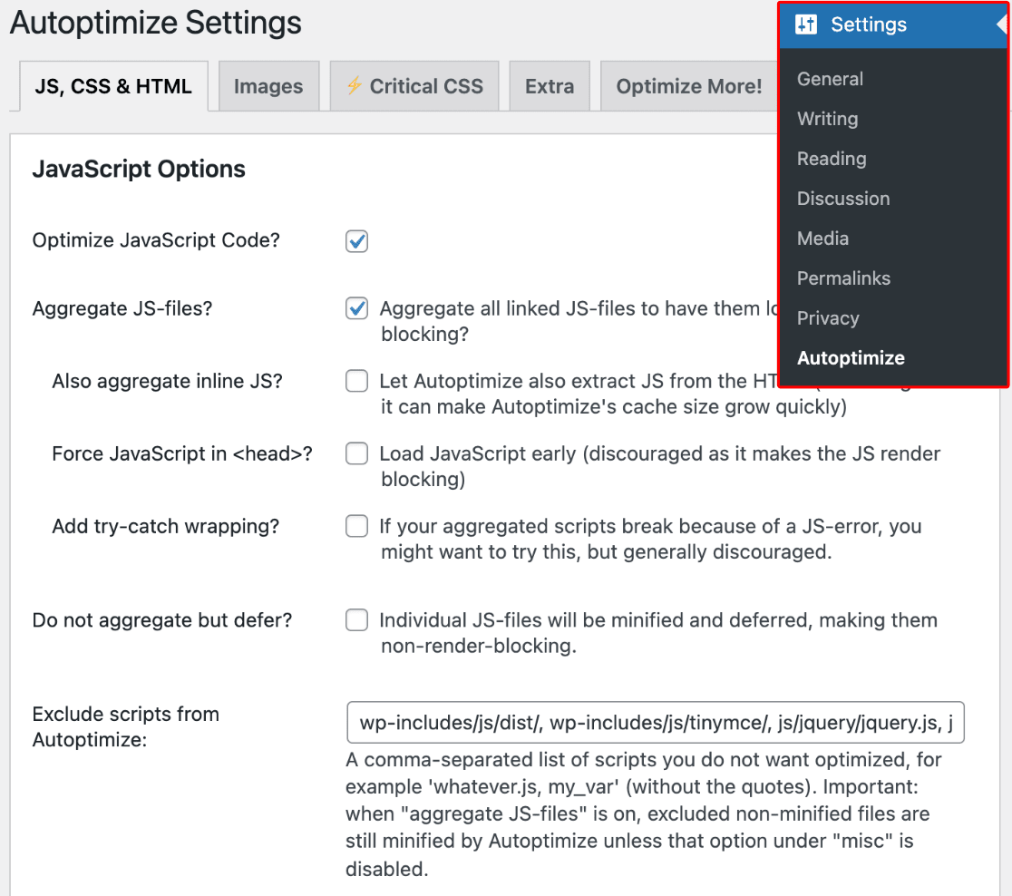 Autoptimize settings