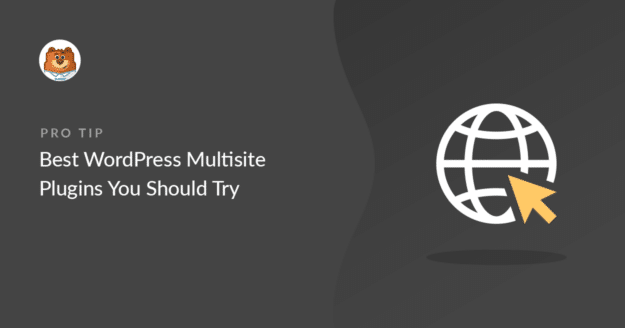 wordpress multisite plugins