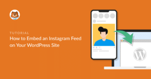 embed instagram feed on your wordpress site
