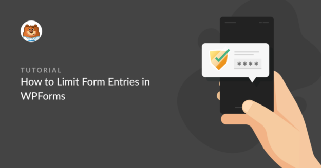 how to limit form entries in wpforms