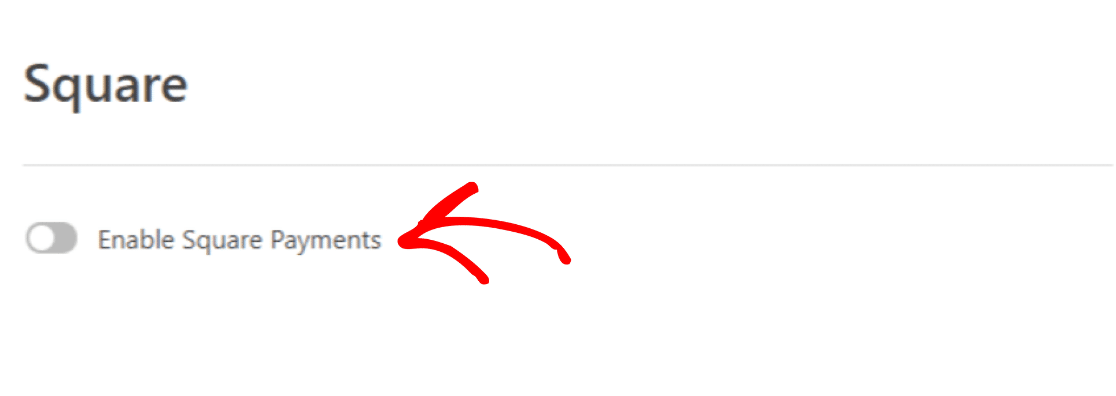 toggle on square payments