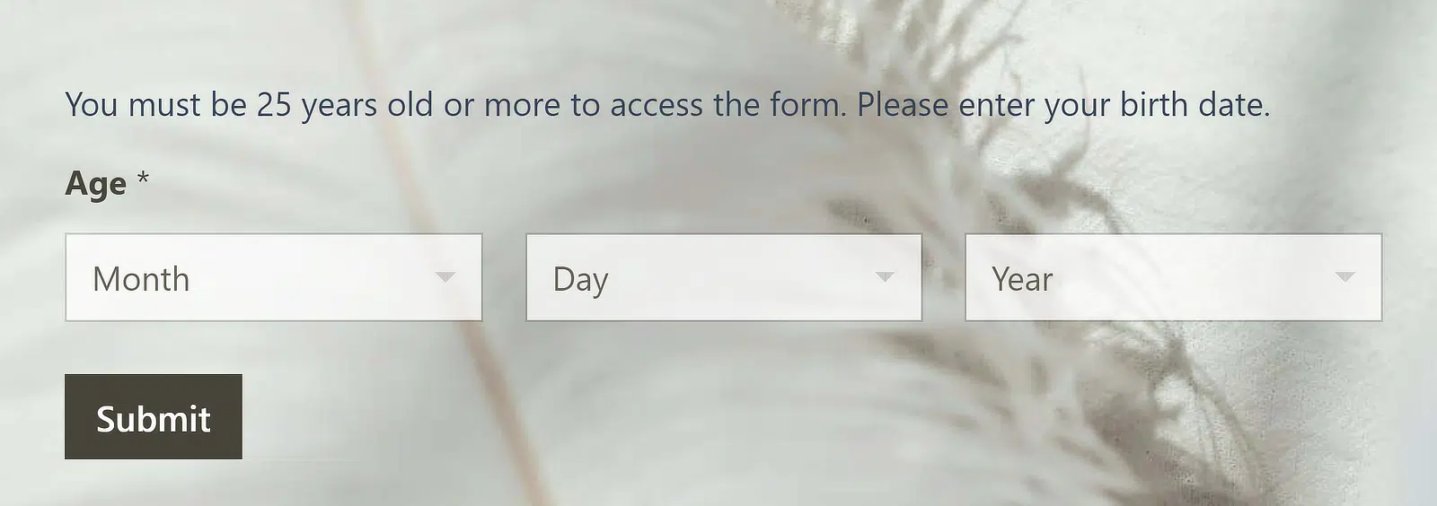 Ejemplo de verificación de edad de WPForms