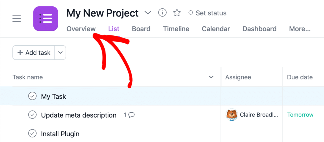 Project overview tab in Asana